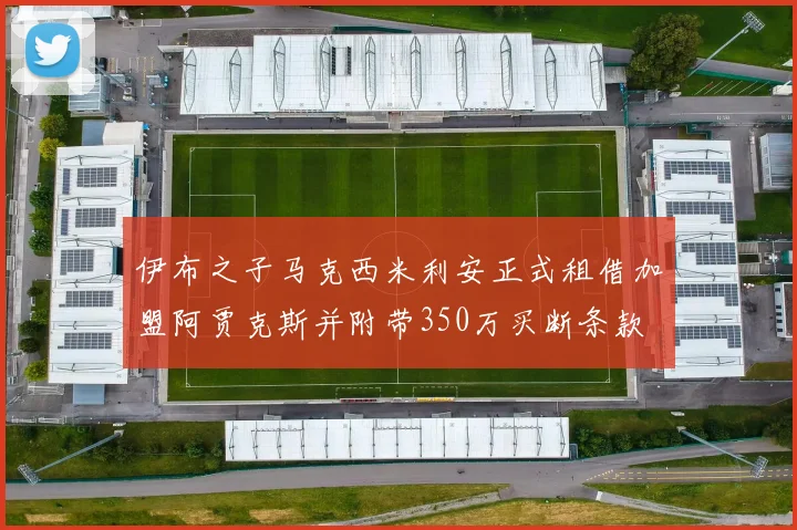 伊布之子马克西米利安正式租借加盟阿贾克斯并附带350万买断条款